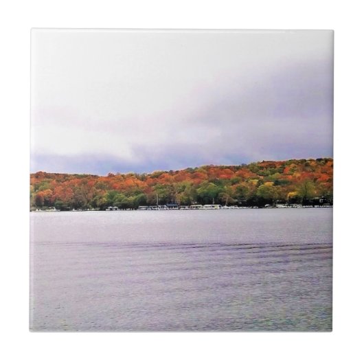 ウィスコンシン州，ジュネーブ湖 タイル (正面)