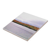 ウィスコンシン州，ジュネーブ湖 タイル (側面)