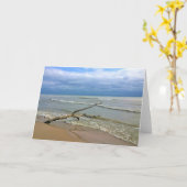 ウィスコンシン州，ミシガン湖 カード (黄色い花)