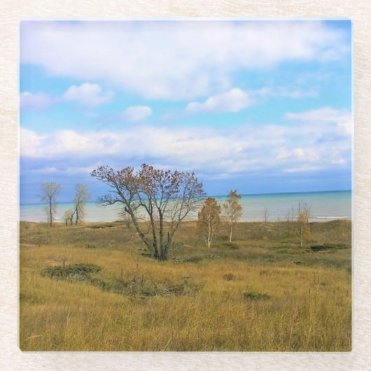 ウィスコンシン州，ミシガン湖 ガラスコースター (正面)