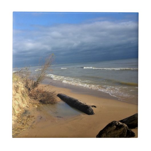 ウィスコンシン州，ミシガン湖 タイル (正面)