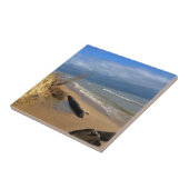 ウィスコンシン州，ミシガン湖 タイル (側面)