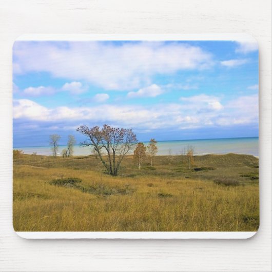ウィスコンシン州,ミシガン湖 マウスパッド (正面)
