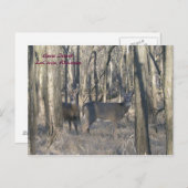 ウィスコンシン州，ラクロス，グースアイランド ポストカード (正面/裏面)