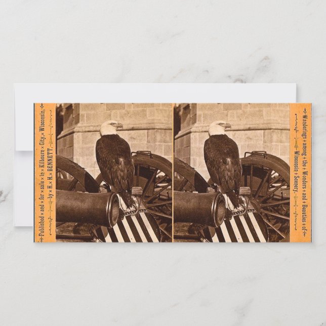 ウィスコンシン戦争イーグル旧阿部 – 立体視 (正面)