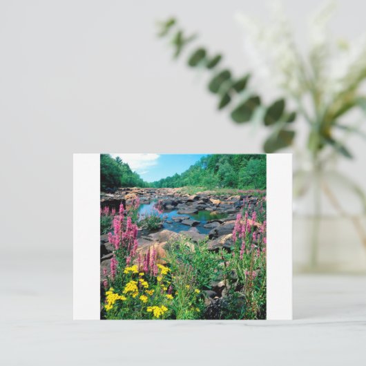 ウィスコンシン湖リバーアイスエイジリザーブウィスコンシン ポストカード (スタンド正面)