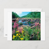 ウィスコンシン湖リバーアイスエイジリザーブウィスコンシン ポストカード (正面/裏面)