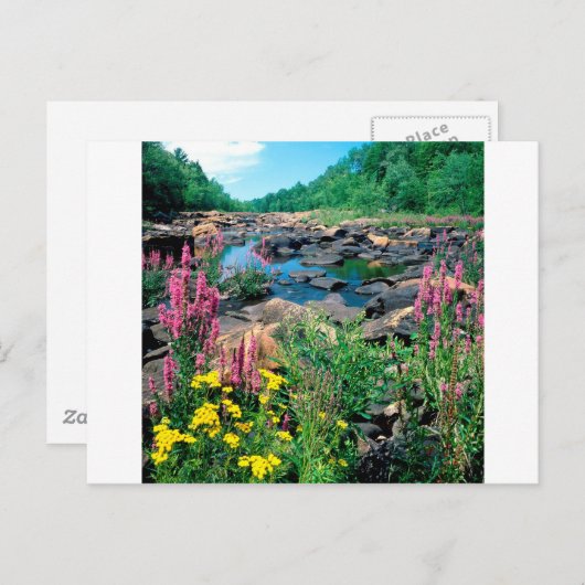 ウィスコンシン湖リバーアイスエイジリザーブウィスコンシン ポストカード (正面/裏面)