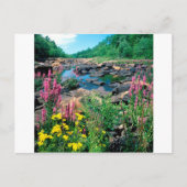 ウィスコンシン湖リバーアイスエイジリザーブウィスコンシン ポストカード (正面)