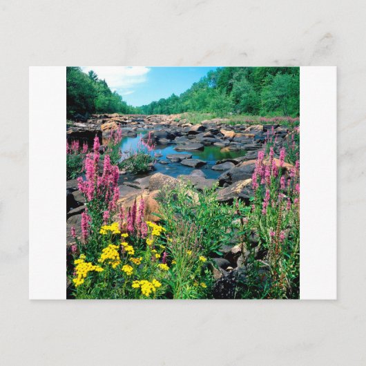 ウィスコンシン湖リバーアイスエイジリザーブウィスコンシン ポストカード (正面)