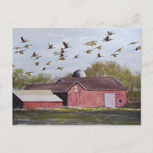 ウィスコンシン砂鶴 – 葉書 ポストカード (正面)