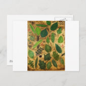 ウィスコンシン葉州 ポストカード (正面/裏面)