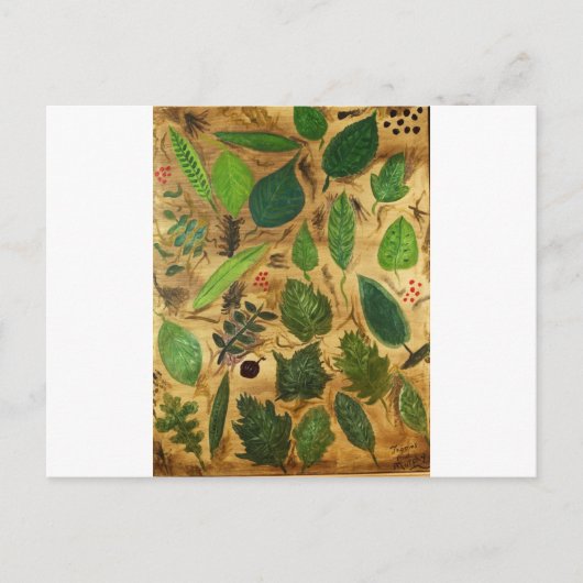 ウィスコンシン葉州 ポストカード (正面)