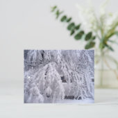 ウィスコンシン葉書の春 ポストカード (スタンド正面)