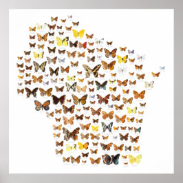 ウィスコンシン蝶 ポスター