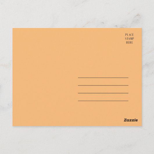 ウィスコンシン黒熊の写真 ポストカード (裏面)