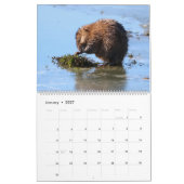 ウィスコンシン2022野生生物暦 カレンダー (1月 2027)