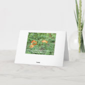 "ウィスコンシン"から挨拶しますカード カード (裏面)