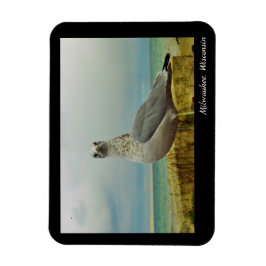 ウィスコンシン・ミルウォーキー マグネット