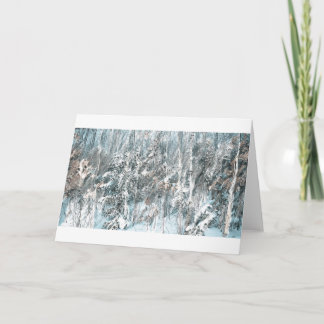 ウィスコンシンNorthwoodsの木 シーズンカード