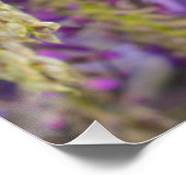 ウィステリアパープルフローラ花咲きスミレ ポスター (コーナー)