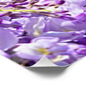 ウィステリアパープルフローラ花咲きスミレ ポスター (コーナー)