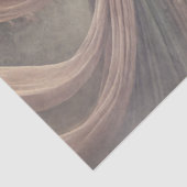 ウィスパーズバイザバラゲート 薄葉紙 (詳細)