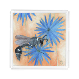 「ウィスピー・ワスプ」 アクリルトレー