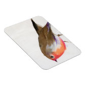 ウィスプ2011という魔法の小さなロビン マグネット (右側)