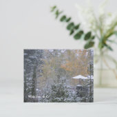 ウィスラーブリティッシュコロンビアの雪の日 ポストカード (スタンド正面)