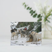 ウィスラー（カナダ） ポストカード (スタンド正面)