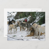 ウィスラー（カナダ） ポストカード (正面/裏面)