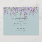 ウィス救テリアの日付ダスティ結婚セージの予算 (正面)