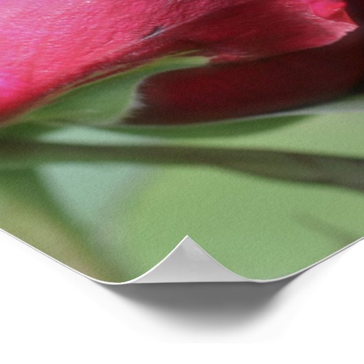 ウィズエイジング引用文ローズブ感動的ド ポスター (角)