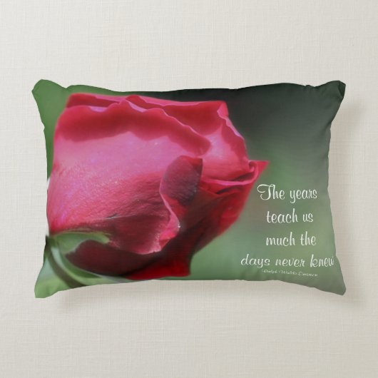 ウィズダムライフ引用文ロゼブ感動的ド アクセントクッション (正面)