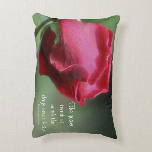 ウィズダムライフ引用文ロゼブ感動的ド アクセントクッション (裏面(縦))
