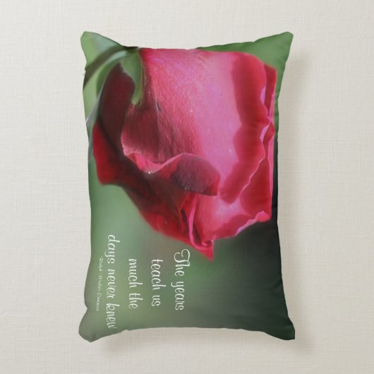 ウィズダムライフ引用文ロゼブ感動的ド  アクセントクッション (正面(垂直))