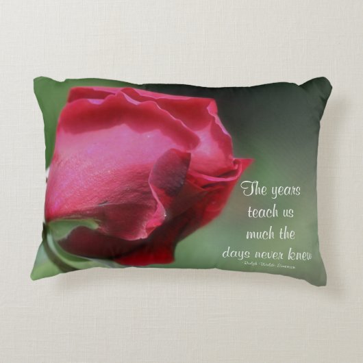 ウィズダムライフ引用文ロゼブ感動的ド  アクセントクッション (裏面)