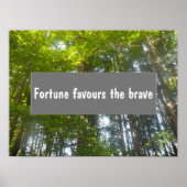 ウィズダム・フォーチュンは勇敢なことわざのポスターを支持 ポスター (正面)