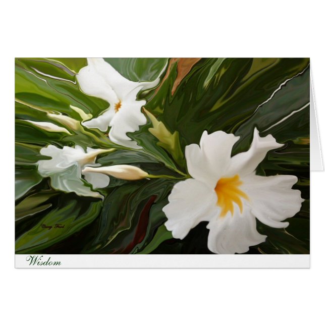 ウィズドカード4 (正面横)