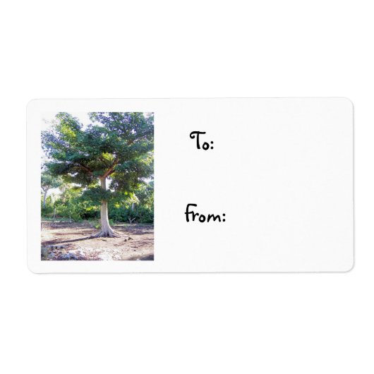 ウィズドクリスマスラベルの木 ラベル (正面)