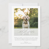 ウィズメリードッグキスのエレガントクリスマスフォト シーズンカード (正面)