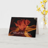 ウィズ最高のズDaffodilカード カード (黄色い花)