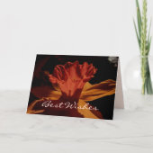 ウィズ最高のズDaffodilカード カード (正面)