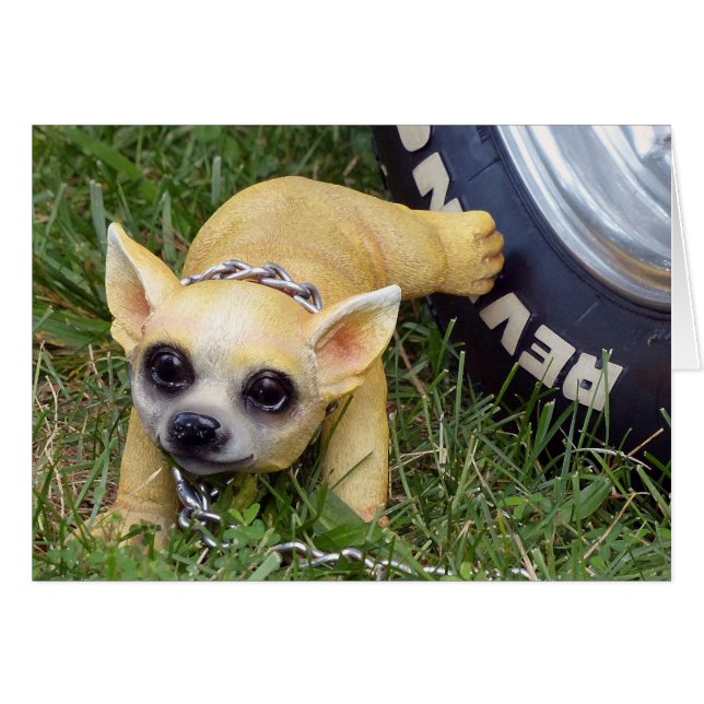 ウィズ・キッド (正面横)