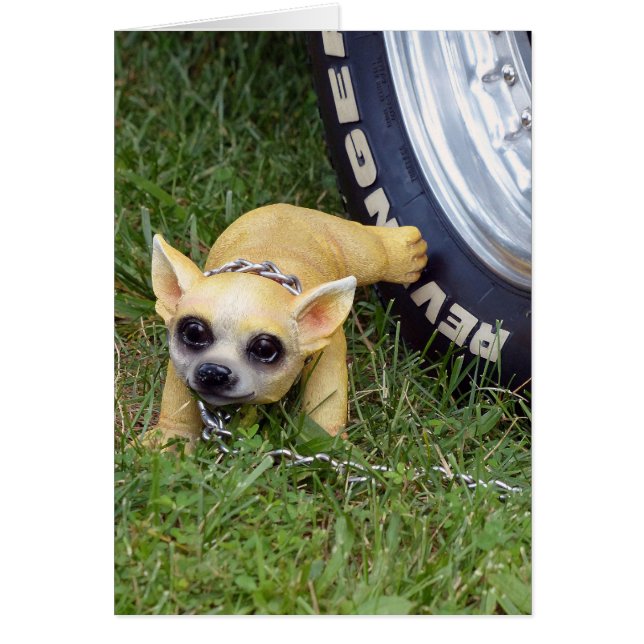 ウィズ・キッド (正面)