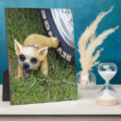 ウィズ・キッド フォトプラーク (側面)