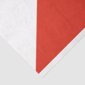 ウィチタ国旗（カンザス州，米国） 薄葉紙 (詳細)