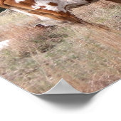 ウィチタ山にロングホーン野生生物保護区 ポスター (角)