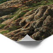 ウィチタ山脈ビスタアメリカンバイソン ポスター (角)